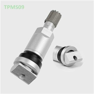 ساقه شیر تایر برای Tpms