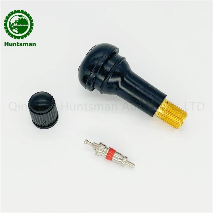 Tr413 Tire Valve