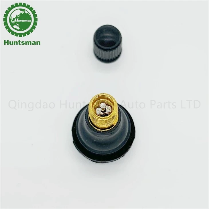 TR413 tyre Valve
